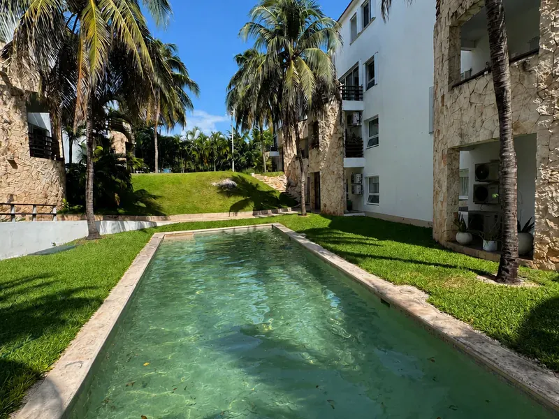 Alberca verde antes de la limpieza profunda en Tulum